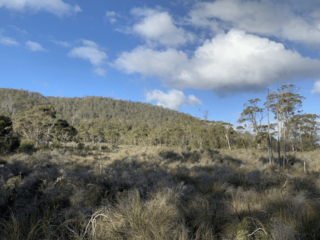 The Tasmanian Land Conservancy helps to establish a new conservation covenant at Randalls&nbsp;Bay